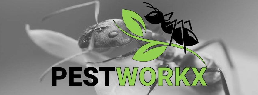 Pestworkx