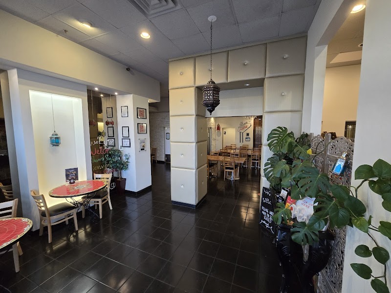 Lazeez Pakistani Indian Mediterranean Grill photo 6