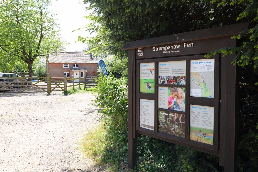 Strumpshaw Fen