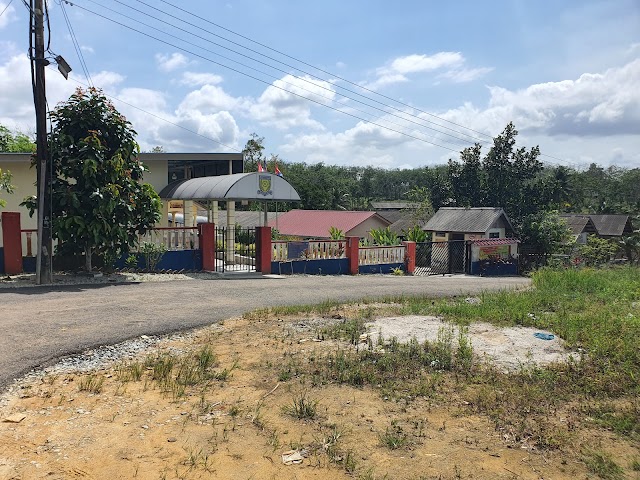 SJK(T) LDG PELEPAH photo 3