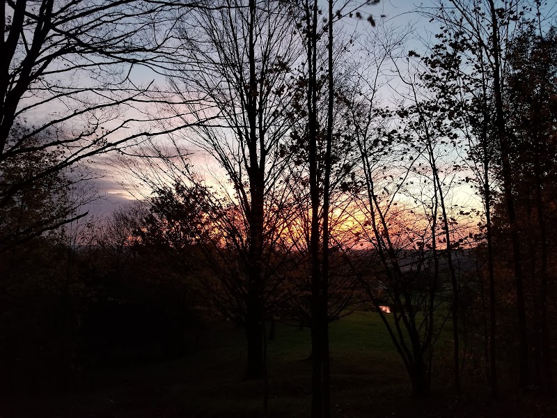 Chainbiters Disc Golf Course photo 3