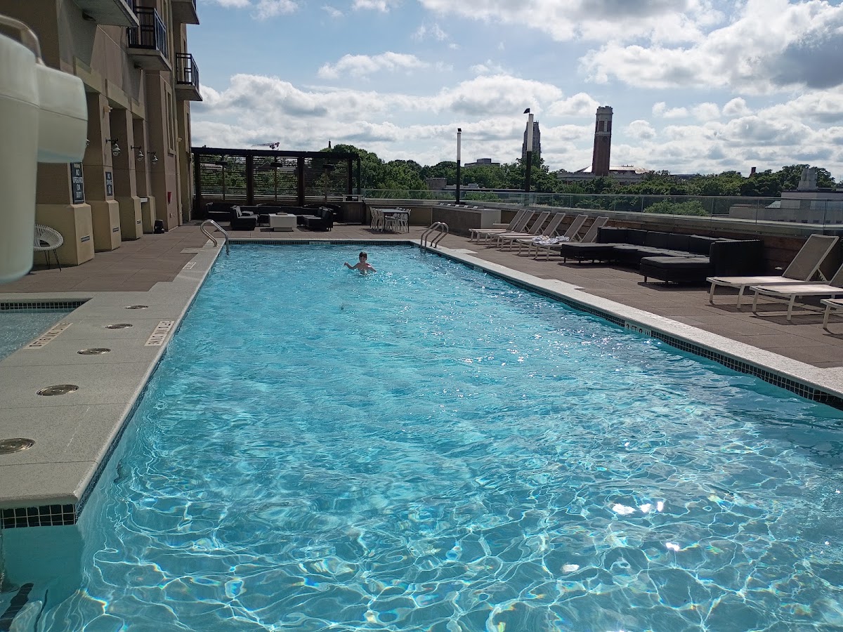 Kimpton Aertson Hotel, dog-friendly hotel, photo 2