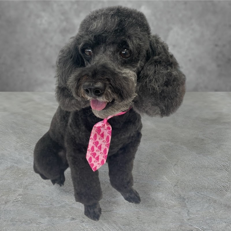 Waggin Tails Dog Salon