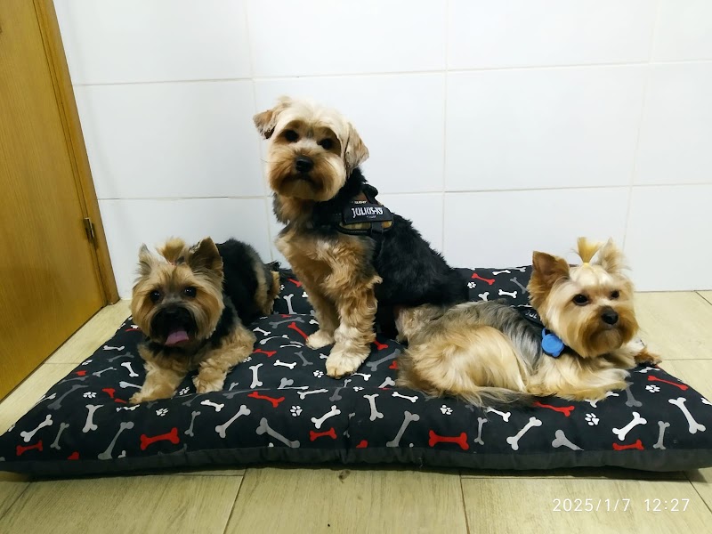 Centro Veterinario Montes de Toledo