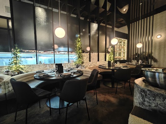 Dark Shepherd Brisbane