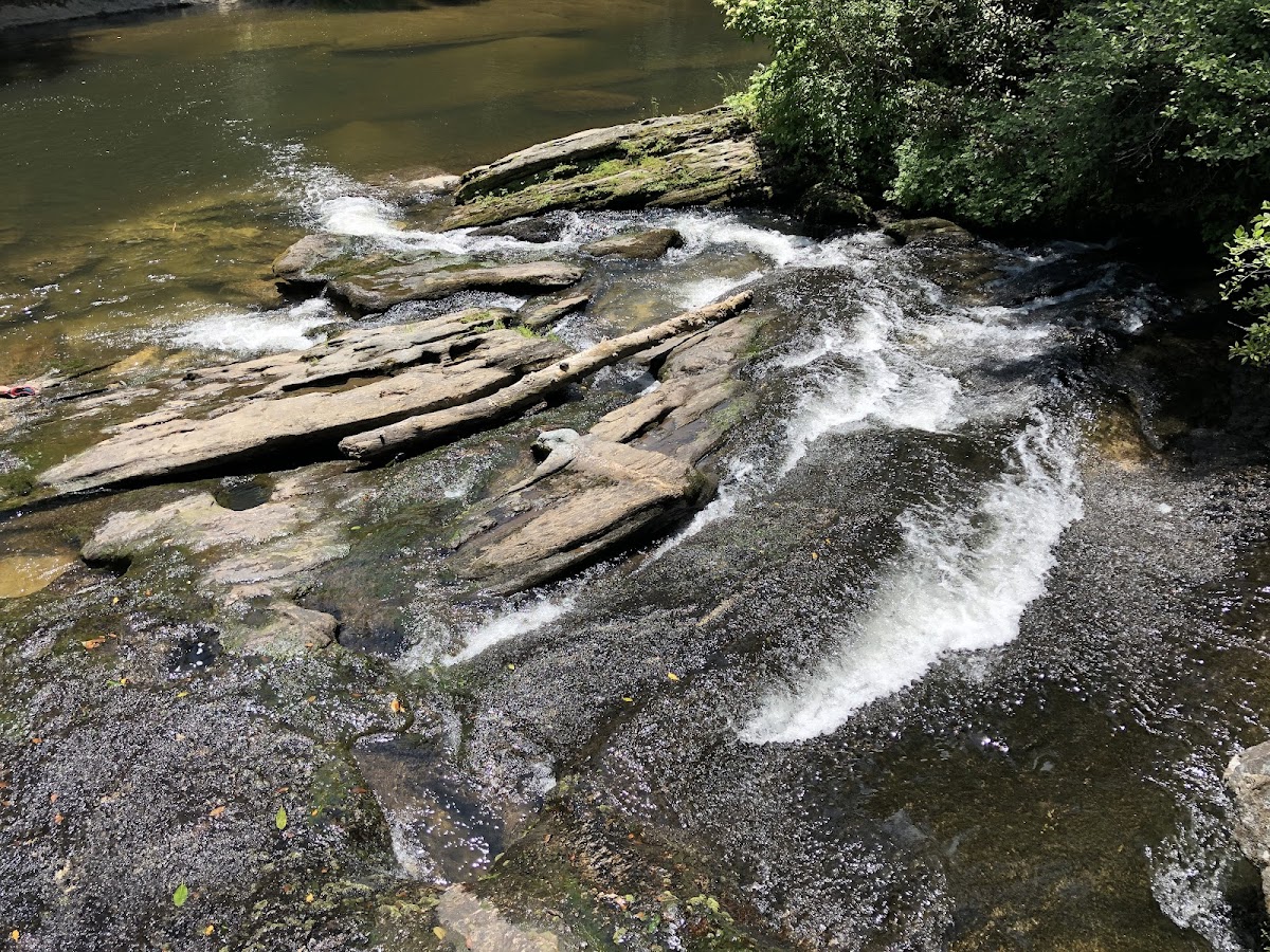 Chattooga Cliffs