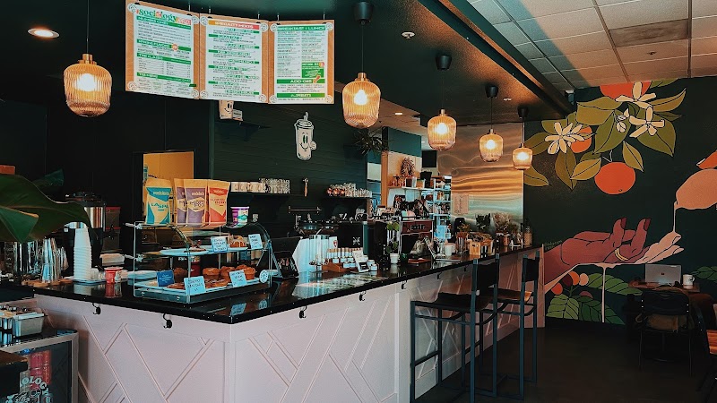 Sociology Coffee Bar (Folsom) photo 1