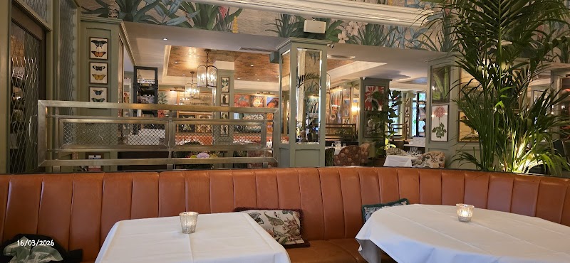 The Ivy Oxford Brasserie