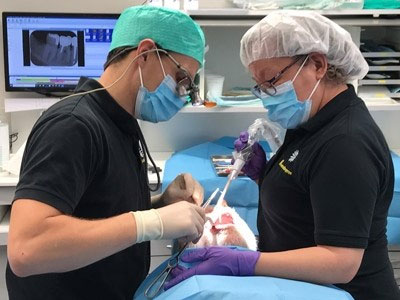 Dentalklinikken Husum ApS - billede 8