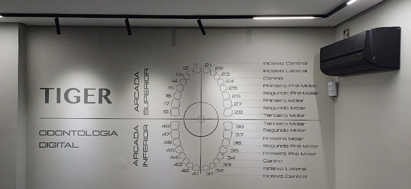 Tiger Odontologia Moema - foto 5