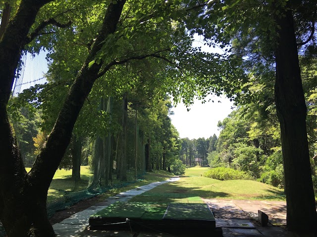 Dynamic Golf Chiba - Photo 1