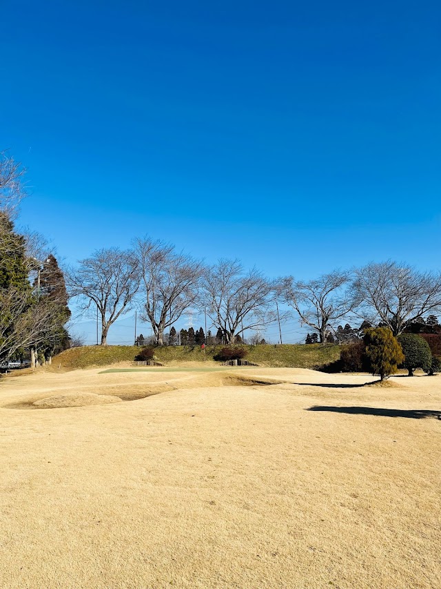 Dynamic Golf Chiba - Photo 8