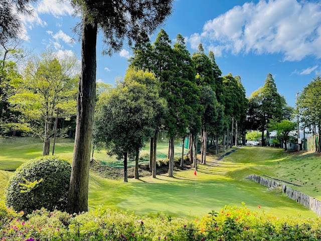 Dynamic Golf Chiba - Photo 6