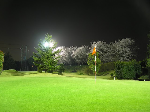 Dynamic Golf Chiba - Photo 7