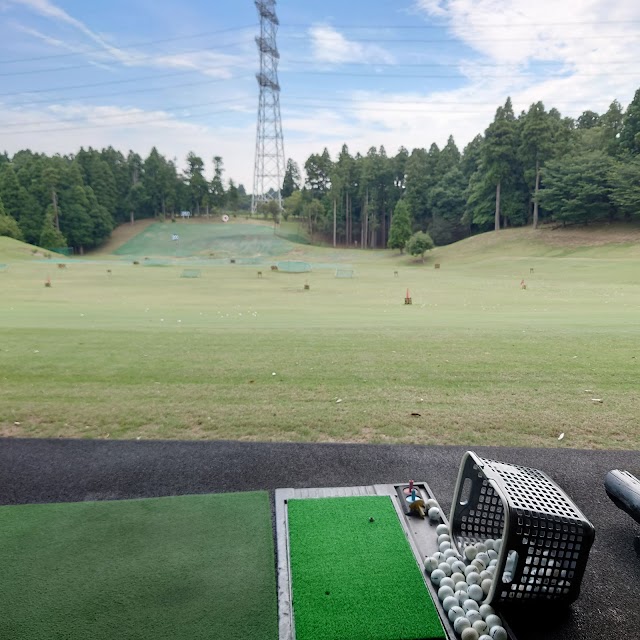 Dynamic Golf Chiba - Photo 2