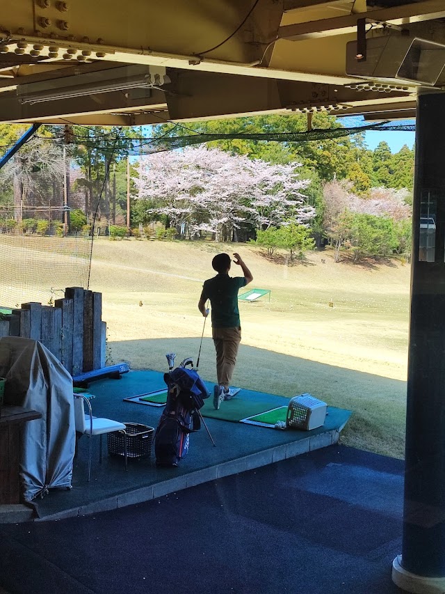 Dynamic Golf Chiba - Photo 5
