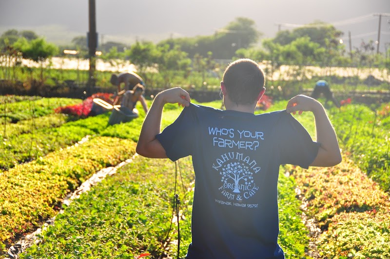 Farm Tours at Kahumana Organic Farms & Cafe photo 3