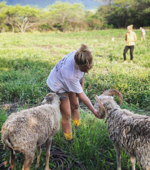 Farm Tours at Kahumana Organic Farms & Cafe photo 2