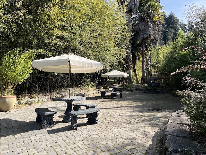 Bamboo Giant Nursery and Gardens