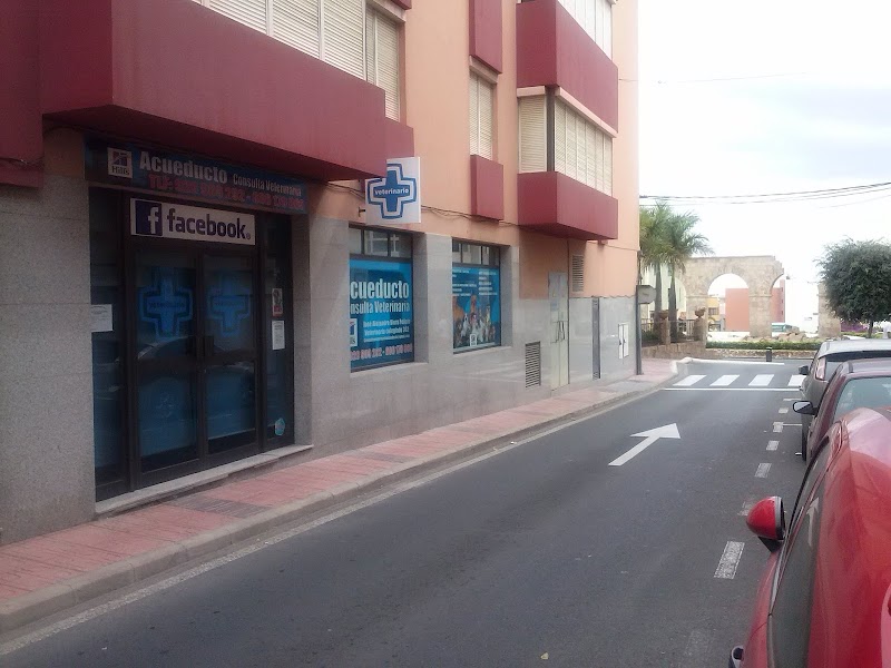 Consulta Veterinaria Acueducto
