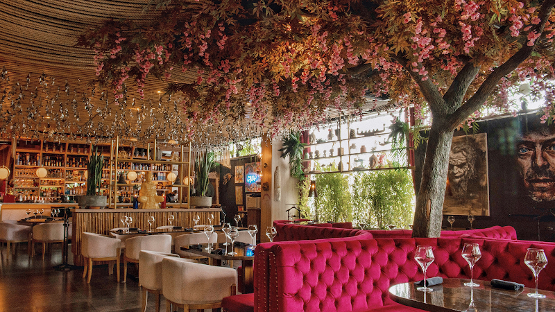 Viva la Vida | Restaurante Asiatico photo 1