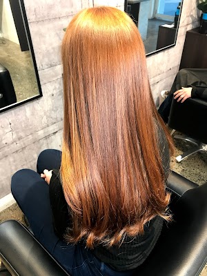 Mane and Muse photo 2