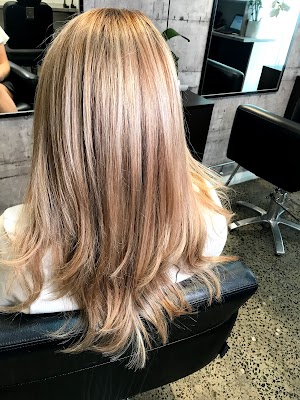 Mane and Muse photo 3