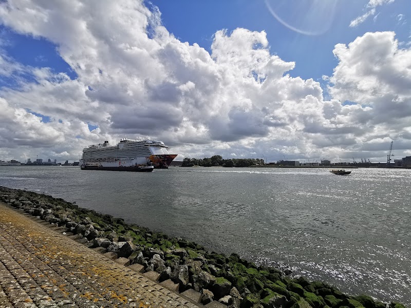 RDM Rotterdam