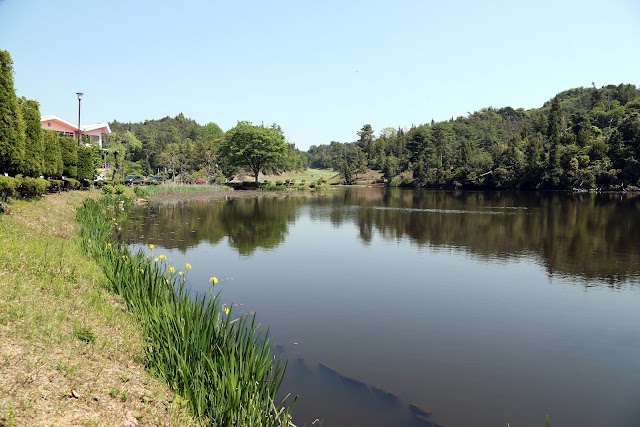 Tamano Golf Club - Photo 10