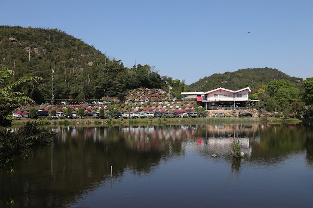 Tamano Golf Club - Photo 4
