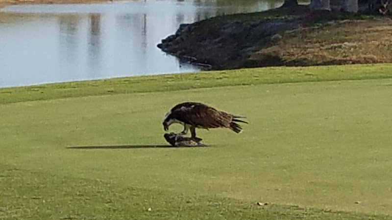 Deep Creek Golf Club photo 4