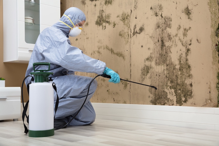 Ram Exterminators KC| Pest Control Kansas City
