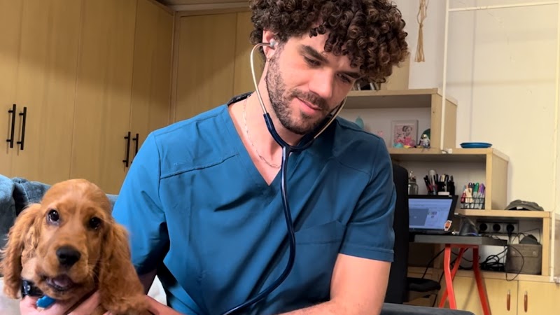 Kevin Torres | Veterinario a domicilio