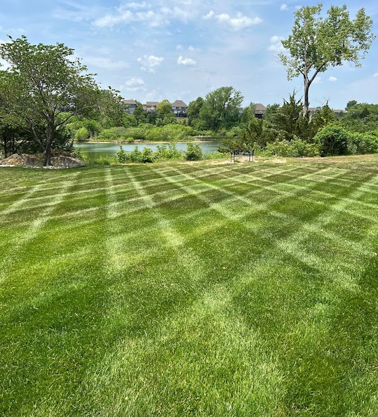Mowmentum Lawn & Tree