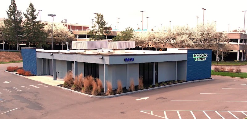 Video tour of Loudpack Exotics - Cannabis Dispensary retail environment