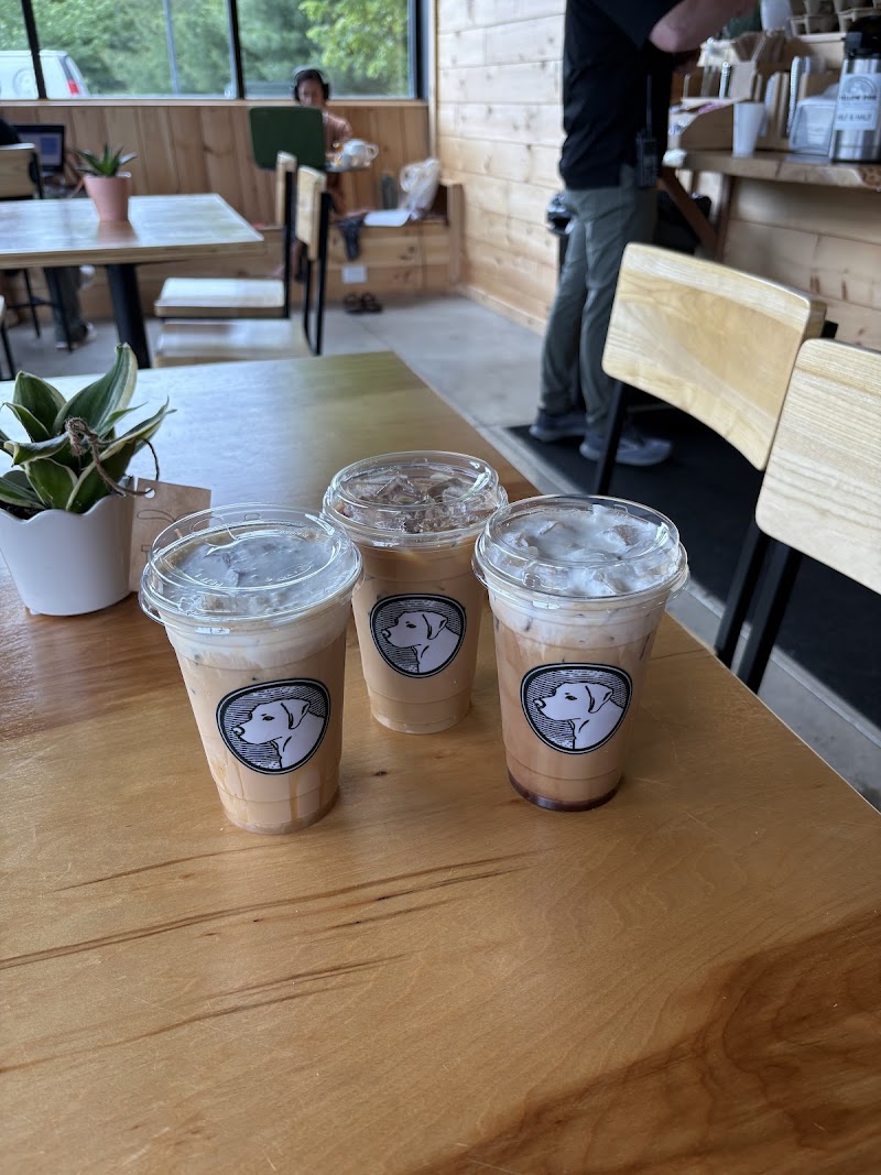 Yellow Dog Coffee Roasters photo 3