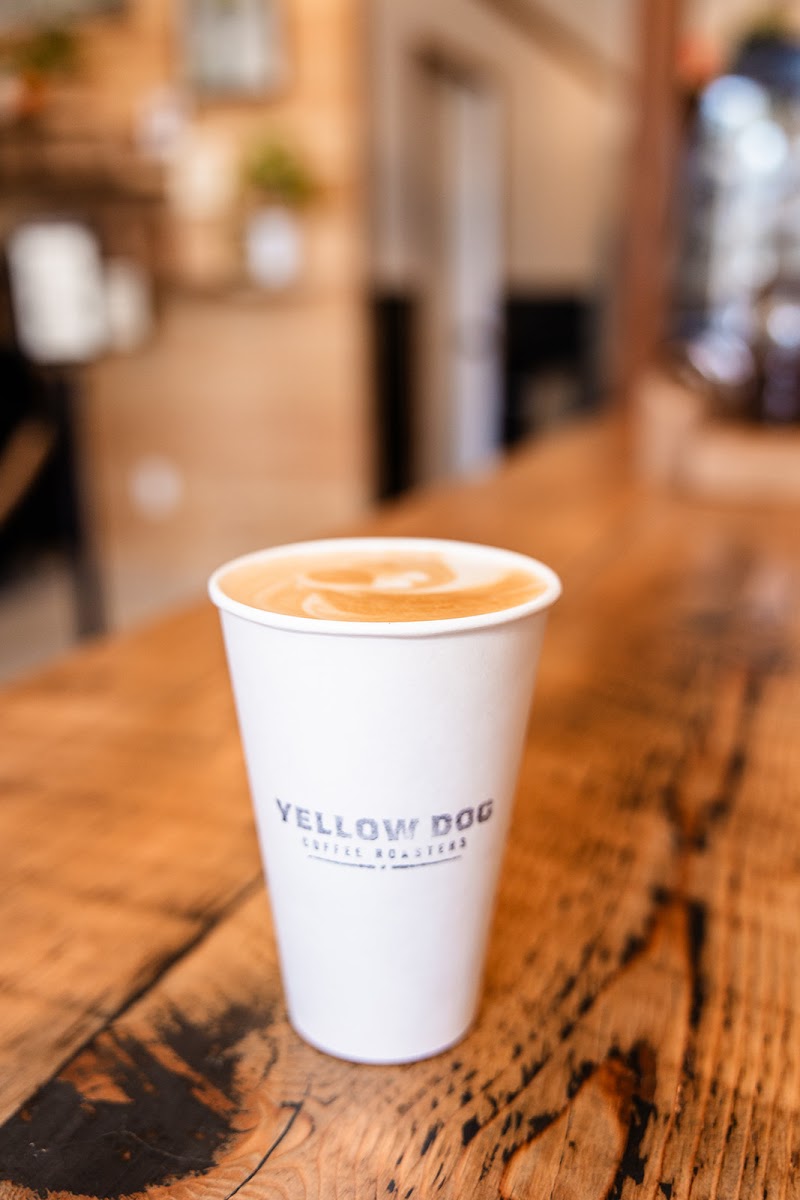 Yellow Dog Coffee Roasters photo 2