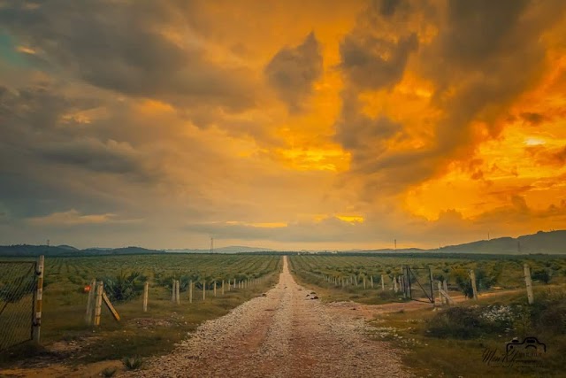 SJK(T) LADANG PASIR GAJAH