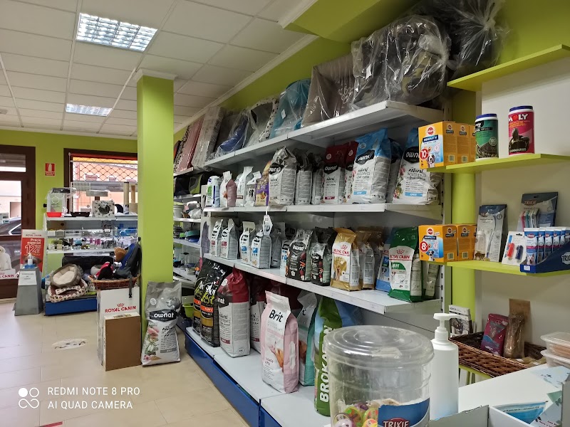 Consulta Veterinaria