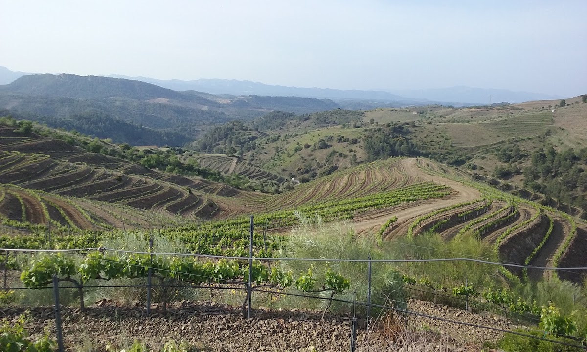 Familia Torres - Priorat (CENTRE DE VISITES)
