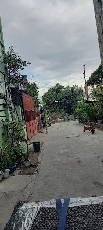 Mara's Garden