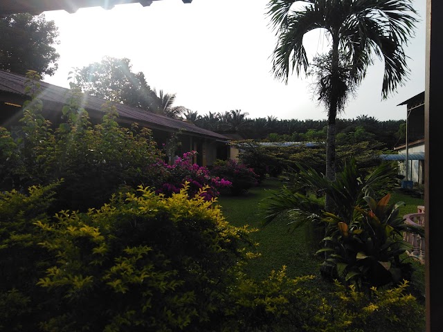 SJK(T) LDG KUPANG photo 2