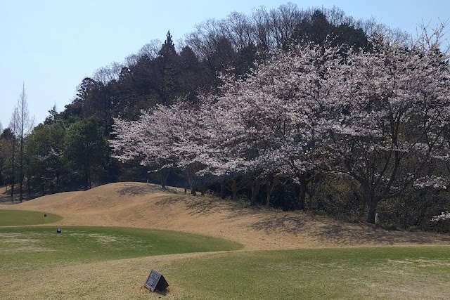 Fuji Stadium Golf Club North Course - Photo 10