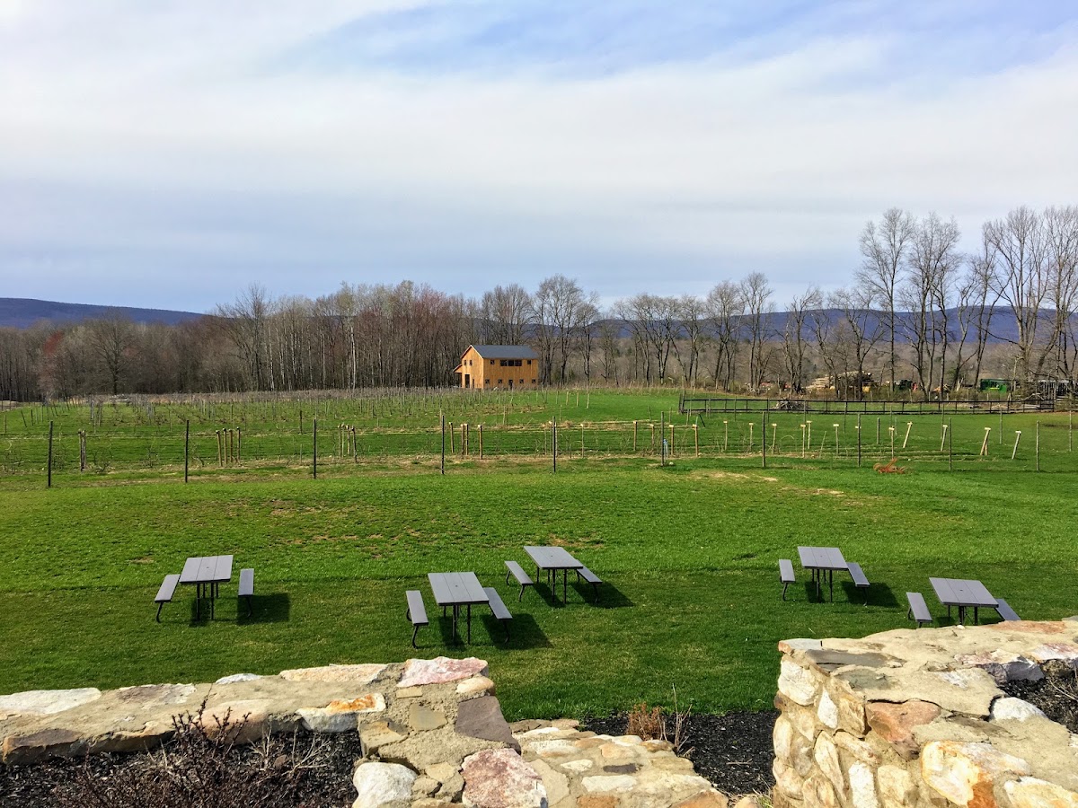 Christopher Jacobs Winery at Pennings Vineyards (Seasonally Open May-Dec 15th)