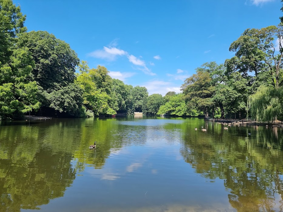 Volksgarten fotoğraf 1