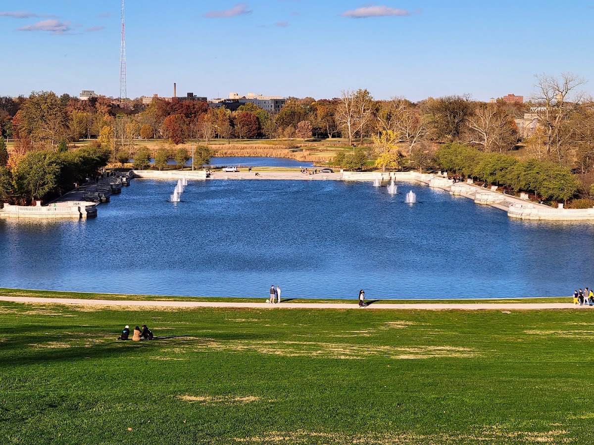 Forest Park photo 2