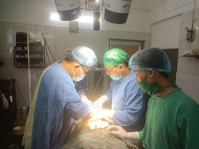 Dr. Abhijit Debbarma | Gynaecology surgeon , Fertility Specialist - Image 2
