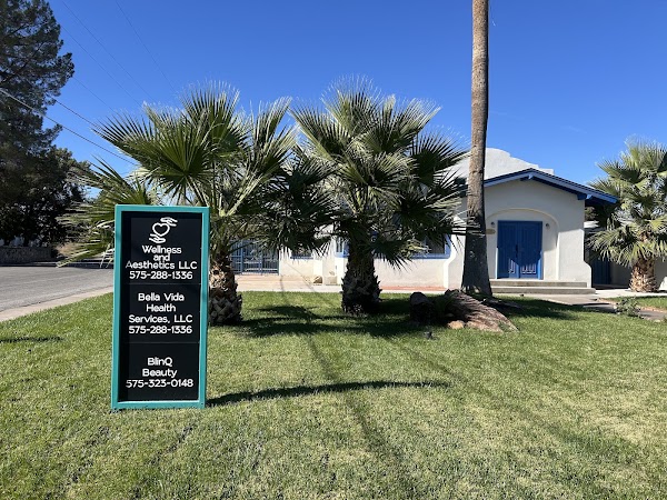 Wellness and Aesthetics, LLC