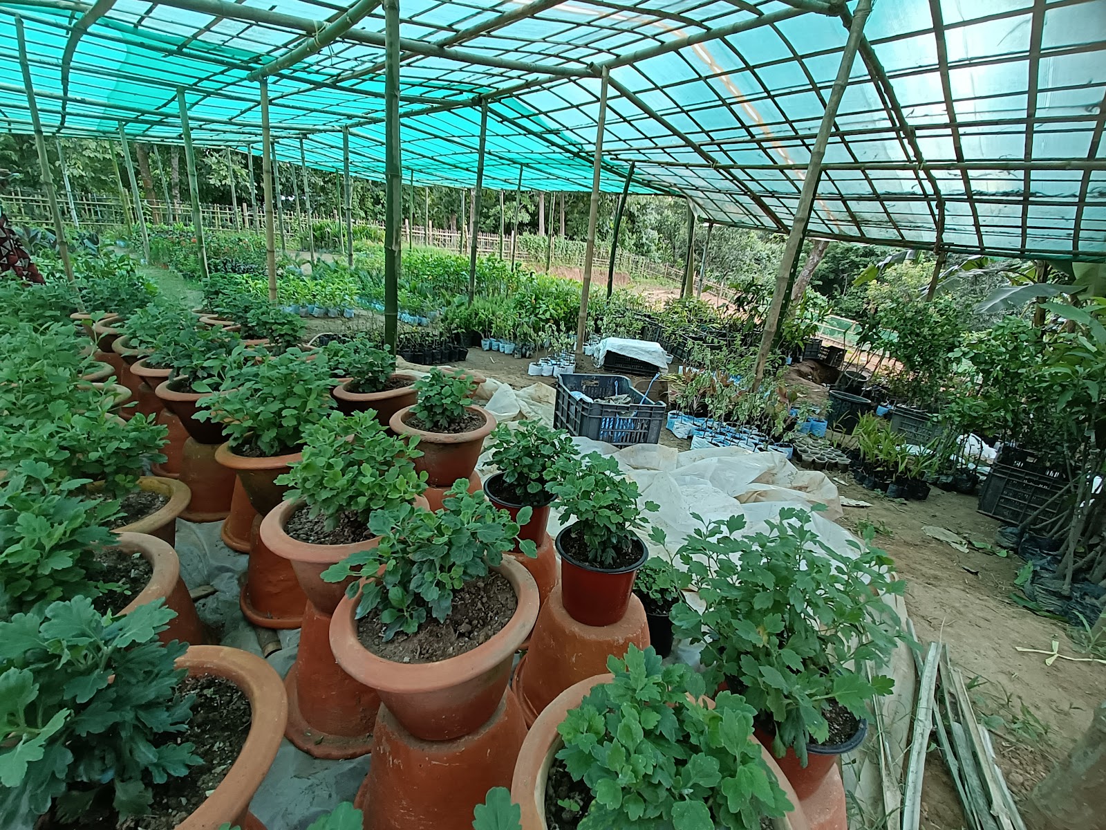 KAR VARIETIES Google photo 3