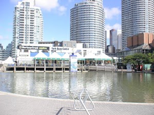 Harbourfront Centre